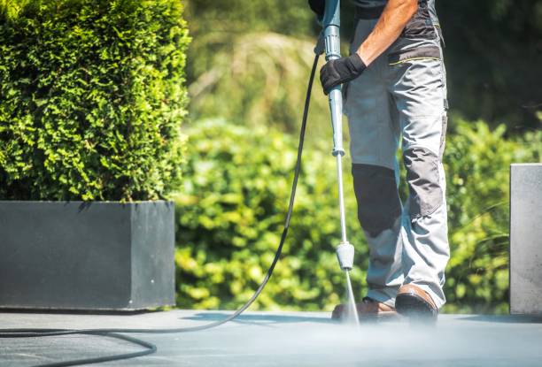 Best Soft Washing  in Winter Haven, FL